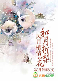 风月栖情：和月折梨花〖全本已出版〗