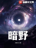 暗夜突围