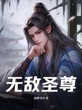 无敌圣骑士小说在哪里看