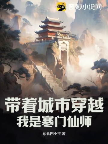 我是寒门仙师小说