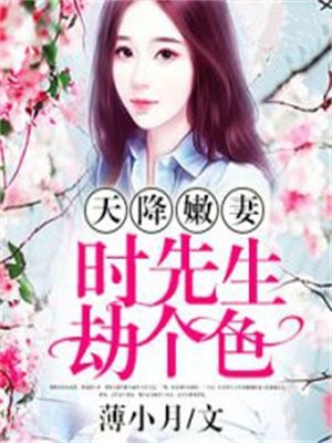 天降嫩妻：时先生，劫个色