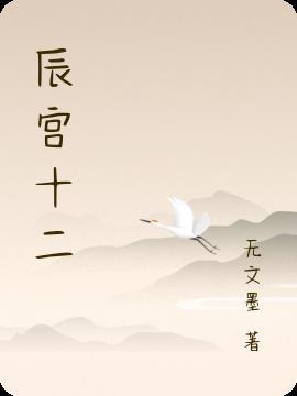 辰宫代表什么