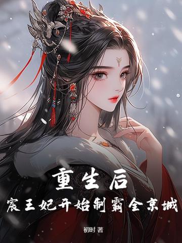 宸王妃 小说