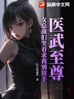 女总裁的医武至尊