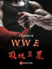 WWE顶级巨星