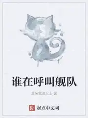 谁在呼叫舰队是什么梗