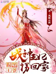 腹黑战王傻妃