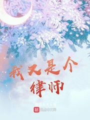 我又是个律师章节目录