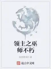 领主之巫师不朽