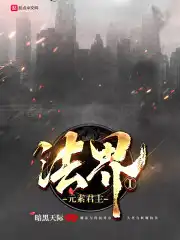 主角是元素法师的小说