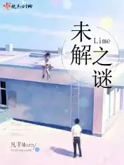 Lime未解之谜