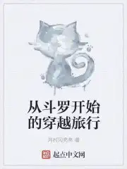 从斗罗开始的穿梭小说