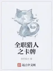 全职猎人之卡牌