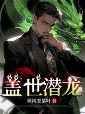 盖世潜龙第100至200集